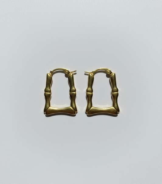 Dear Silky Hoops