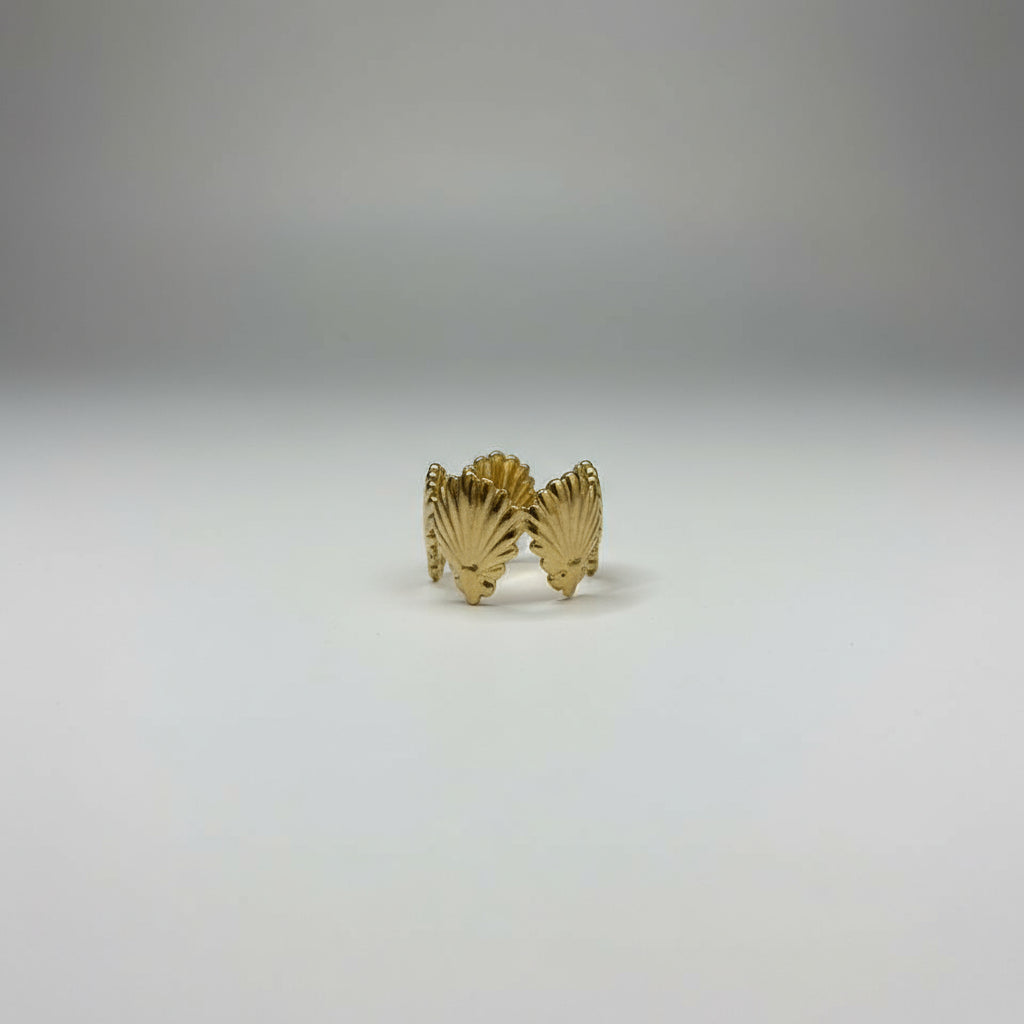 Hey Shelly Ring