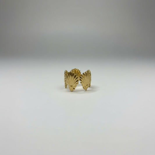 Hey Shelly Ring